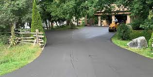 Best Driveway Repair and Patching  in Encantada Ranchito El Calaboz, TX